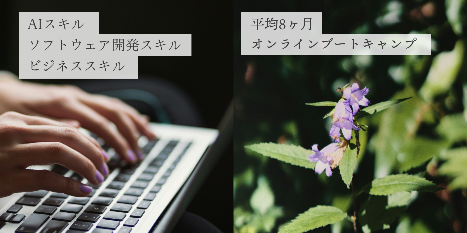 事業概要サブビジュアル